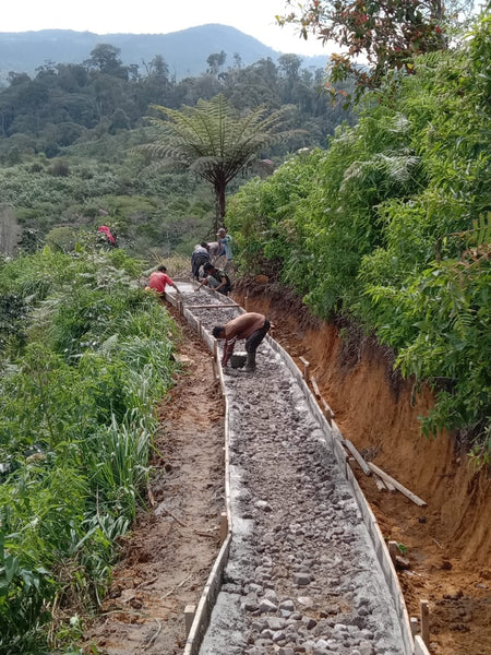 Paving the Road to Success