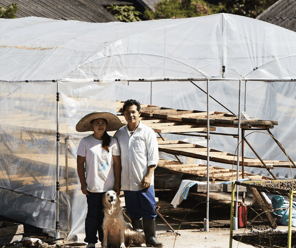 Understanding Thailand's Coffee Growing Industry